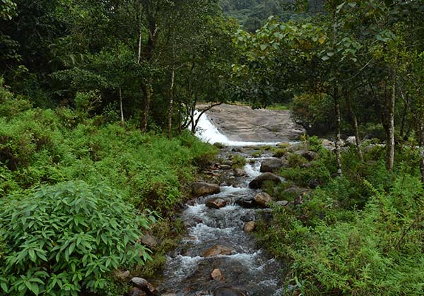 Erode to Valparai 3 day tour package by Karthi Travels, rated 4.9 stars