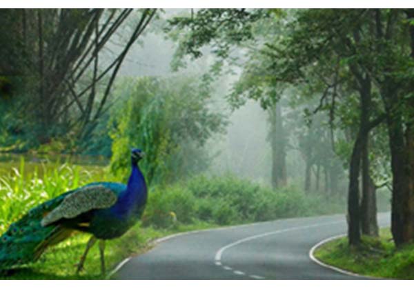 Theni to Wayanad 2 day tour package by Karthi Travels, rated 4.9 stars